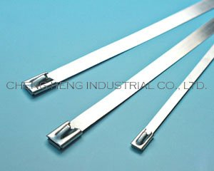Stainless Steel Cable Tie